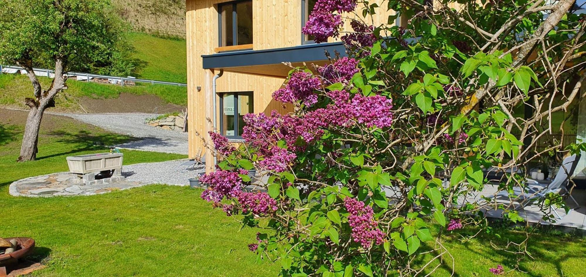 Villa Haus Valtellina Galgenul Esterno foto